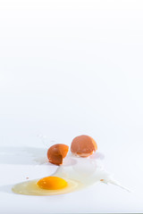Broken egg with albumen and yolk.