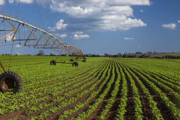 Industrial irrigation equipment on farm field under a blue sky i