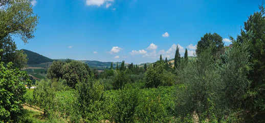 Countryside near Montalcino, Tuscany - 117833675