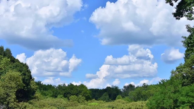 Time lapse as clouds roll over green forest in Pennsylvania, United States