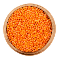Red lentils in a wooden bowl on white background. Seeds of Lens culinaris, edible raw pulses of the legume family. Isolated close up macro photo from above.