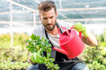 Handsome gardener in apron watering flowers with pink watering can. Worker taking care of plants in...