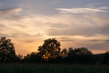 Sonne im Sommer am Abend