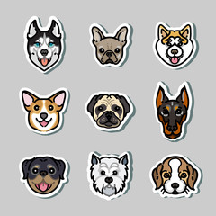 Dogs. vector dog breeds
