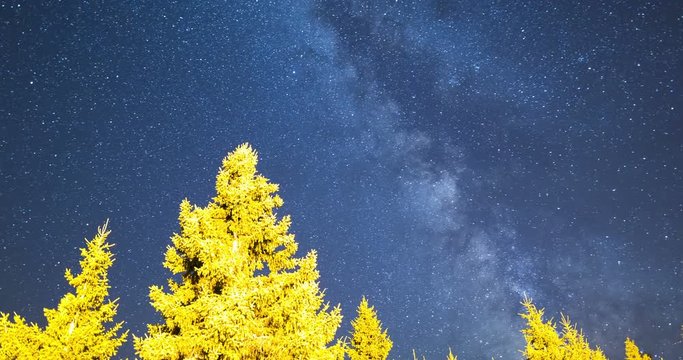A view of the stars of the Milky Way with a pine trees forest in the foreground. Night sky nature summer landscape. Meteor Shower. Falling stars. Comets. Perseid Meteor Shower in 2016. 4k timelapse.