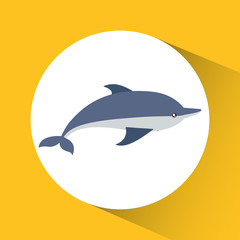 Dolphin cartoon over circle icon. Sea lifestyle. Colorfull Vector illustration