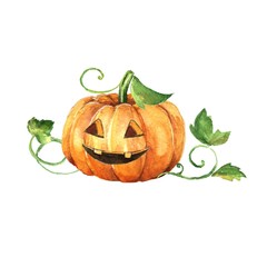 Halloween pumpkin. Watercolor painting 2. Hand drawn illustration
