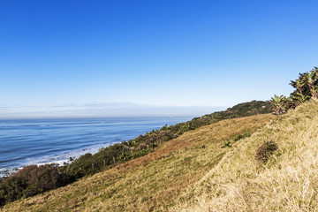  Dune Vegetation and Distant Ocean and Blue Coastal Skyline