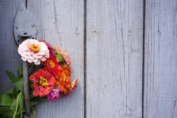 Bright summer flowers on an old wooden surface. Summer background with flowers. Soft focus
