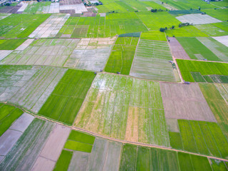 Aerial view of rice field in northern Thailand