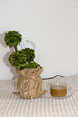 coffee cup and treepot on table