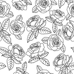 black outline roses