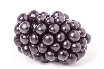 blackberry isolated on white background close-up macro