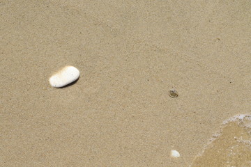 Fototapeta na wymiar wet sand background