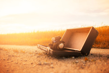 Abandoned, forsaken teddy bear in a vintage luggage suitcase on the asphalt road in the summer sun shine in the nature and beautiful light