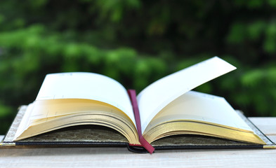 Open Book on Wood Table in Summer Garden
