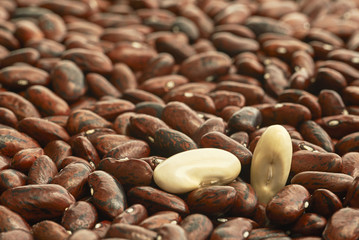Two kinds of beans