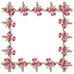Obraz na płótnie Canvas Beautiful floral background with pink alstroemeria 