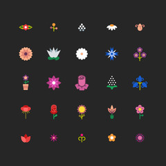 Linear flower floral vector icons with bright colors