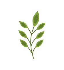 leaf leaves green nature plant icon. Isolated and flat illustration. Vector graphic