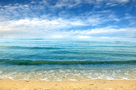 Black sea beach blue sky sand sun daylight