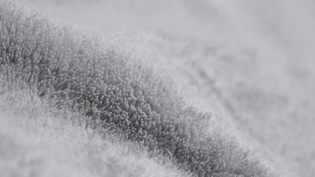 Gray polar polyester fleece warm fabric texture 4K 2160p 30fps UltraHD tilting footage - Slow tilt over silver synthetic fibers of polar blanket close-up 4K 3840X2160 UHD video 