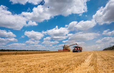Overloading grain harvester into the grain tank of the tractor t