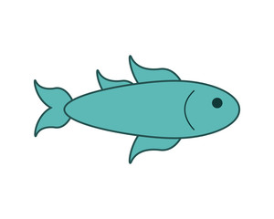 flat design single fish icon vector illustration