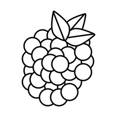 Delicious and fresh fruit, vector illustration.