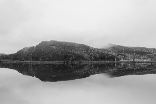 Landscape Forest Norway Symmetry