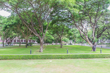 Bangkok, Thailand - June 5, 2016: Silvan Chamchuri or Mimosa park at Faculty of Engineering area, Chulalongkorn university, Bangkok, Thailand