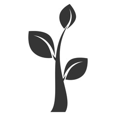 plant leaves eco icon vector illustration