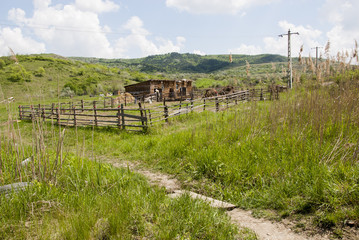 Fototapeta premium Buzau - Romania - Summer time in country side