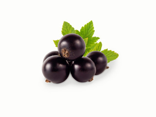 black currant isolated on white background. Ripe and tasty curra