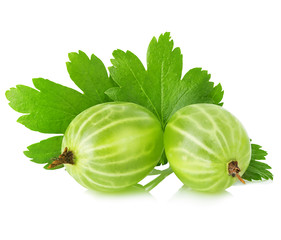 Fresh green gooseberry with leaf close-up isolated on a white background.