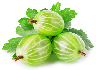 Fresh green gooseberry with leaf close-up isolated on a white background.