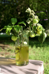 Apple branch in decanter