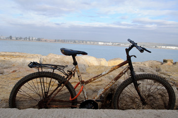 Naklejka na ściany i meble Rusting bicycle on a seashore 