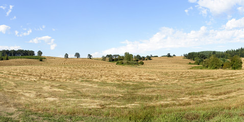 Oregon Grown Ryegrass Harvest in the Willamette Valley, Marion County