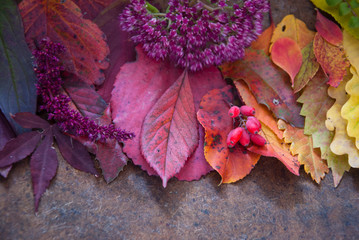 Autumn leaves and berries