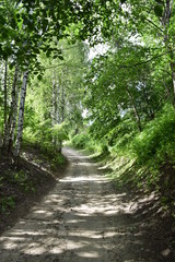 Fototapeta premium узкая дорожка