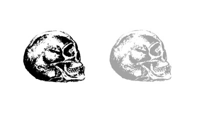Skull head original draw