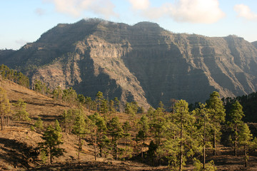 Fototapeta na wymiar Mountain Range, Gran Canaria, Spain