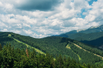 Fototapeta na wymiar Carpathian mountains in summer. Bukovel, Ukraine. August, 2016