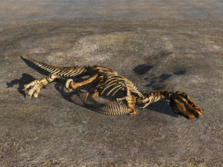 Esqueleto de dinosaurio © anibal
