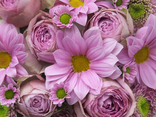 Floral background. Lot of pink flowers