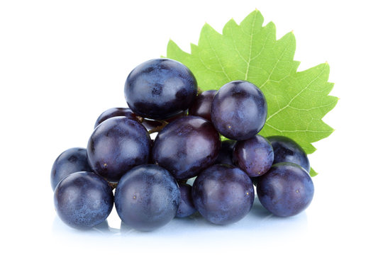 Trauben Weintrauben blau Früchte Frucht Obst Freisteller freige