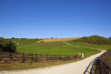 Fototapeta na wymiar summer country farm track