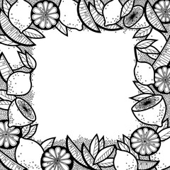 Black and White Doodle Background of Lemons, Lemon Slices and Leaves. Vector Fruit Frame. Art Food Border from Isolated Elements