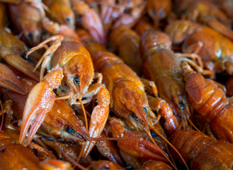 Many boiled crayfish lie on a platter